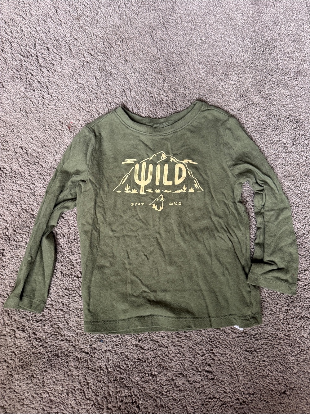 Old Navy Olive Green 'WILD' Mountain Graphic Long-Sleeve Tee